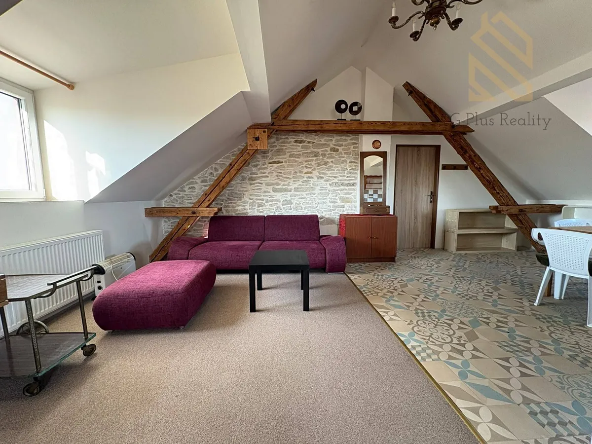 Pronájem bytu 1+kk 48 m²